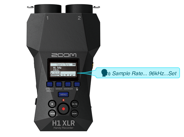 H1 XLR | ZOOM