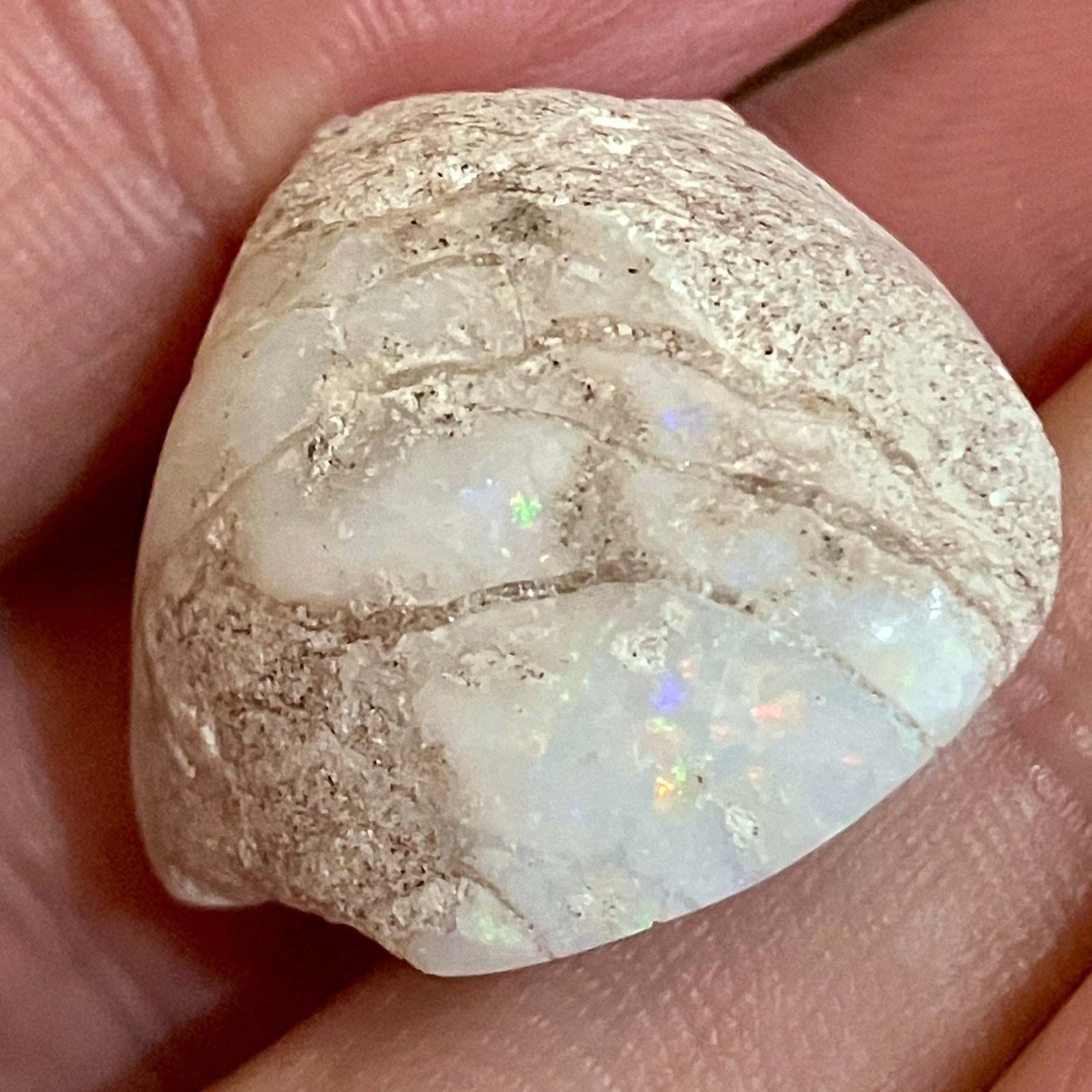 化石オパール — Shop | 高品質オパールを今すぐ購入！ — Coulson Opals