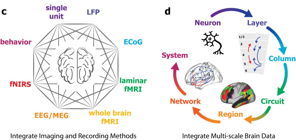 Neuroimaging – Laboratory of Integrated Brain Imaging