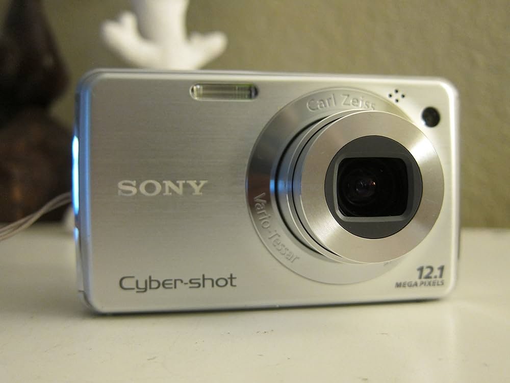 Sony Cybershot DSC-W220 12.1MP Digital Camera with 4X Optical Zoom