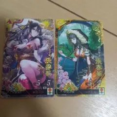 2026年最新】三国志大戦 張春華の人気アイテム - メルカリ