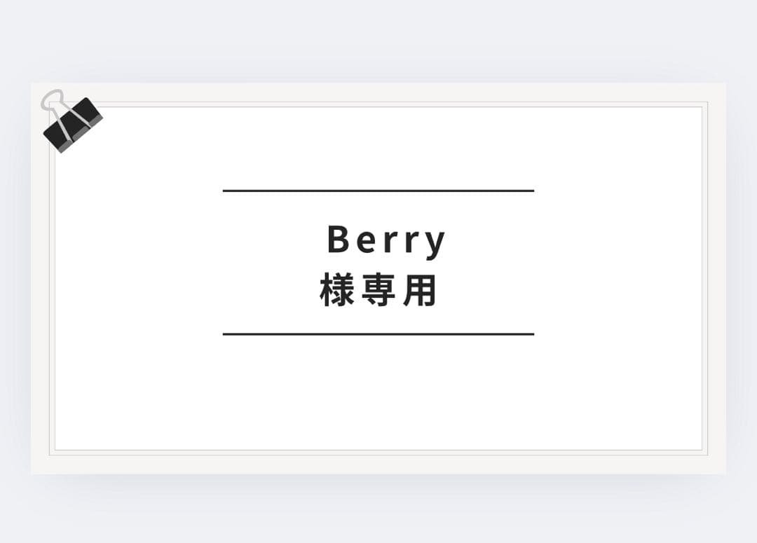 Berryさん専用 Aristo 1993 Toyota Aristo (JSZ147) | Approval Aero | Big T04Z Single