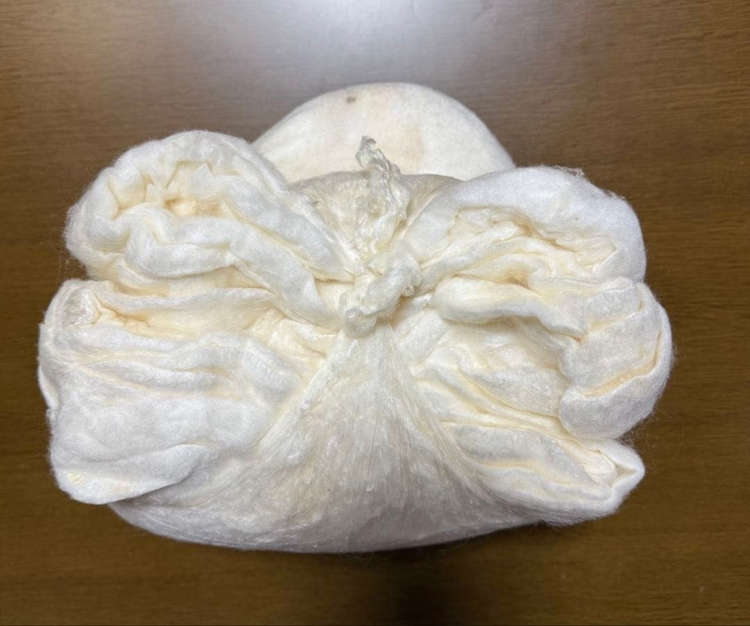 帽子真綿　480.5g