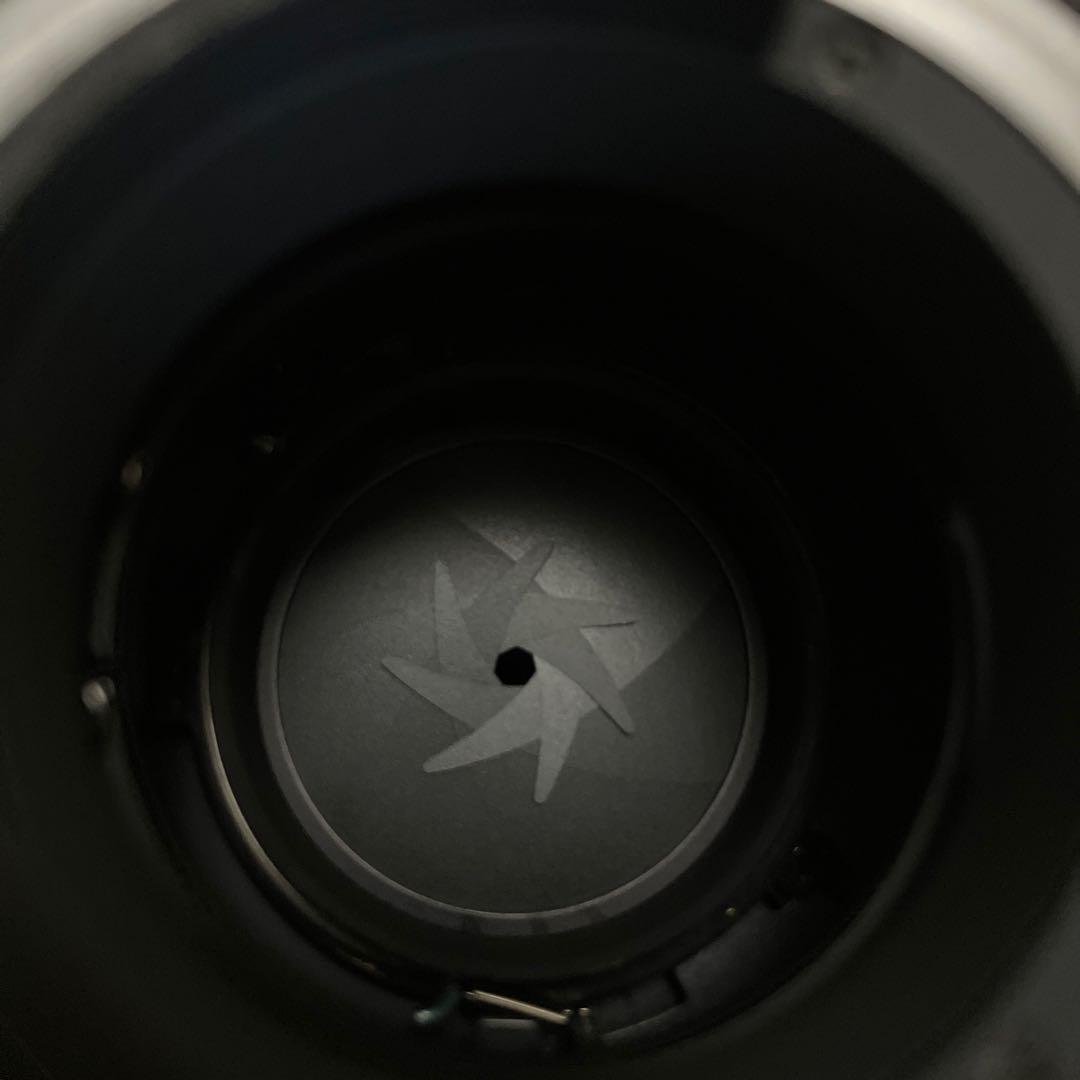 良品Tokina AT-X SD 300mm f2.8 (Fマウント) 作例あり